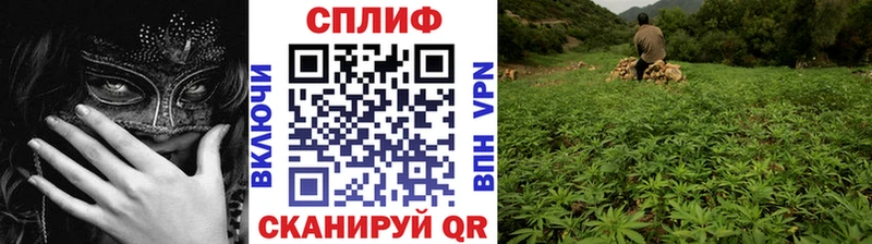 Где можно купить наркотики Северобайкальск Кетамин APVP hydra ССЫЛКА Меф Каннабис Гашиш