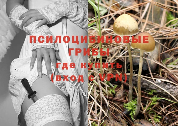 mdma Покачи