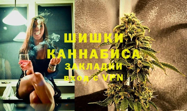индика Покров