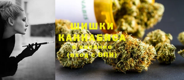 индика Покров