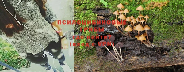 стафф Приозерск