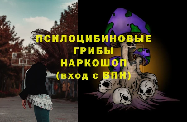 стафф Приозерск