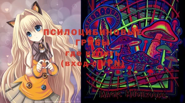мдпв Покровск