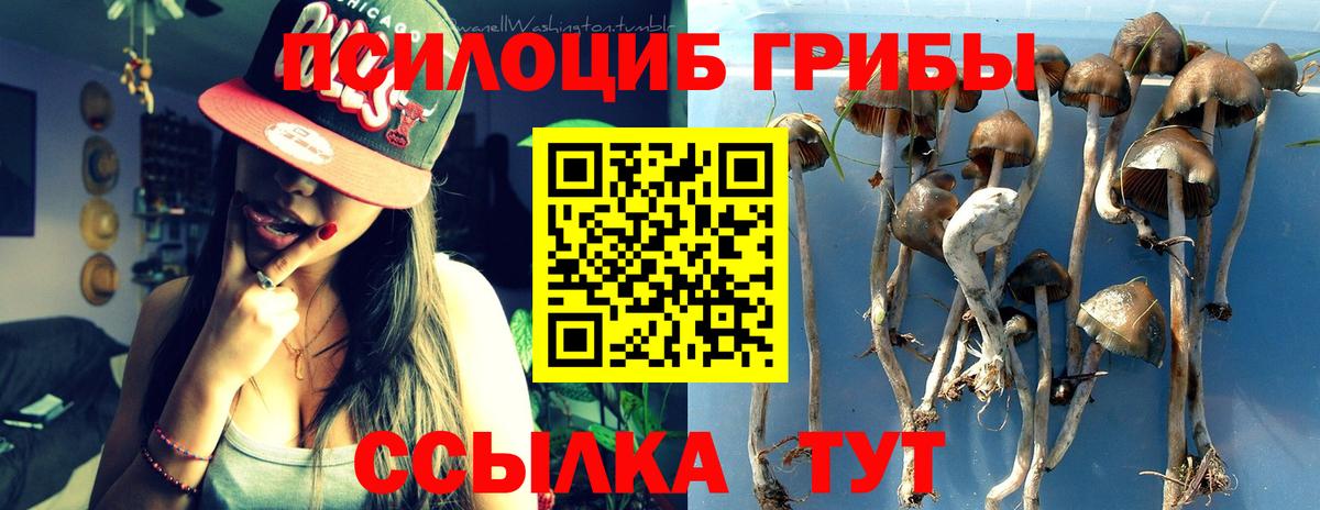 Псилоцибиновые грибы мицелий  Вход с VPN  Северобайкальск  Псилоцибиновые грибы мухоморы 