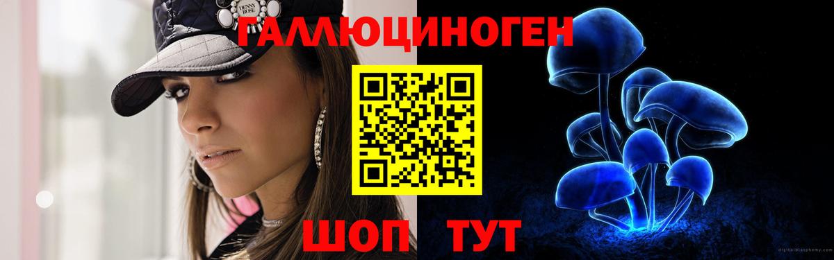 Галлюциногенные грибы мухоморы Северобайкальск